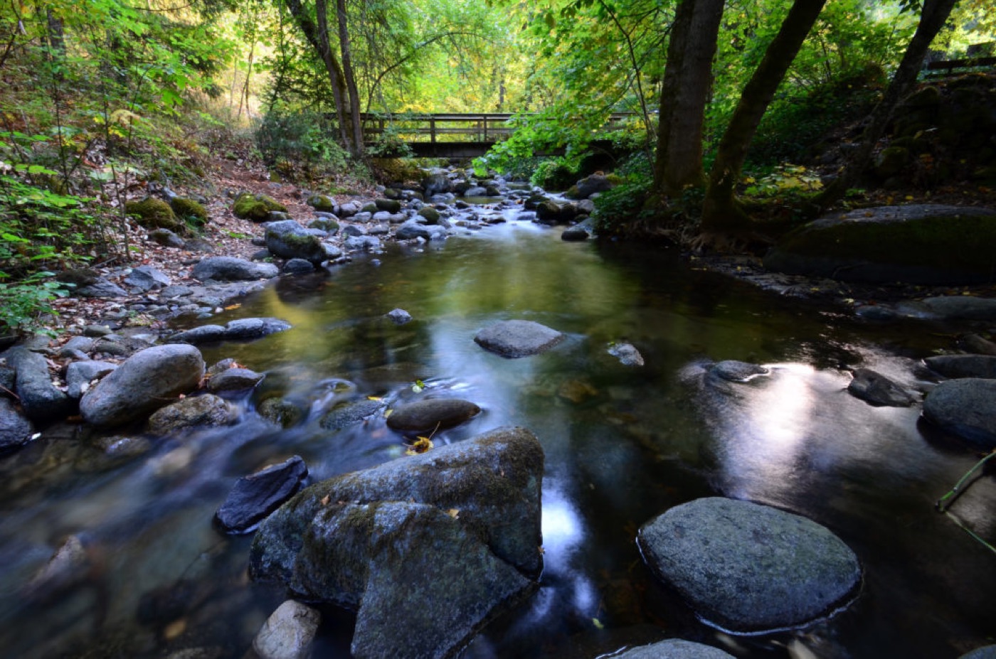 Ashland Creek flowing under a footbridge in Lithia Park