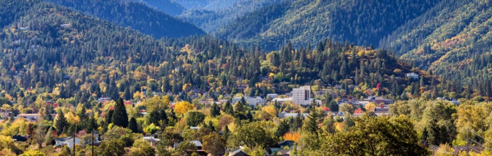 Downtown Ashland nestled in trees, home to local shops